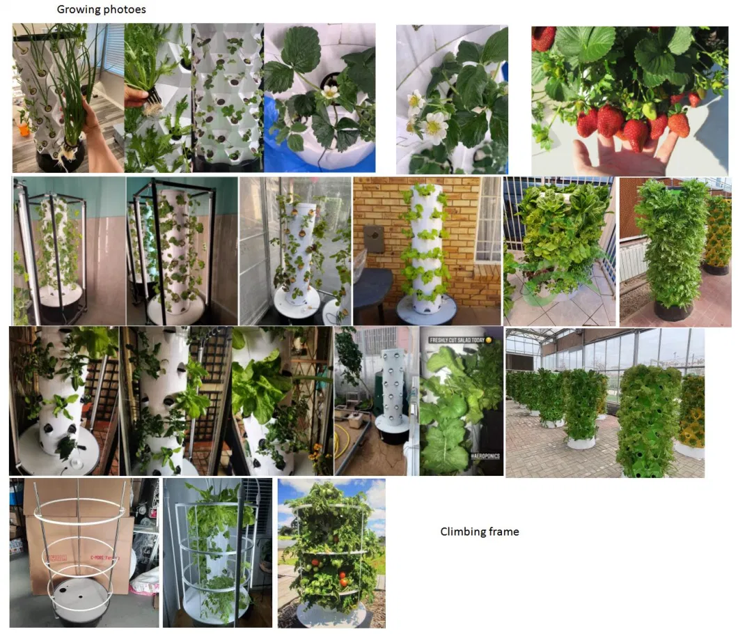 Vertical Hydroponic Tower Gardening System Towers Garden with Lights