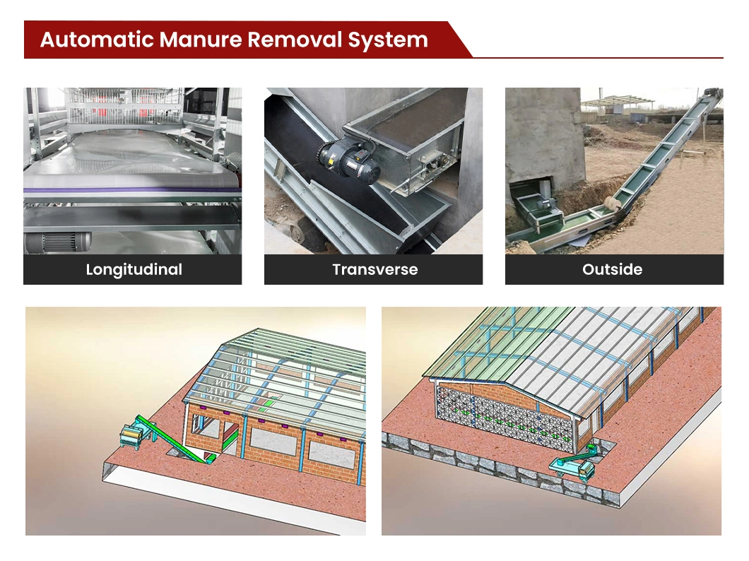 Bestchickencage China Outdoor Chicken Coops Suppliers H Frame Automatic Boriler Cages Free Sample Energy Save/Remote Control Chicken Coop Shed