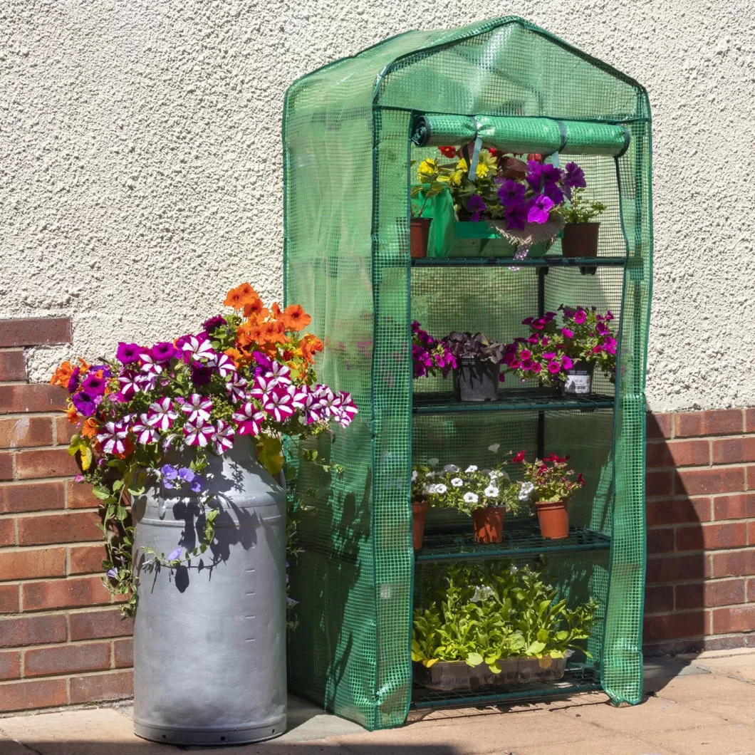 4 Tier Transparent Walk in Garden PVC Greenhouse with Metal Frame Shelves