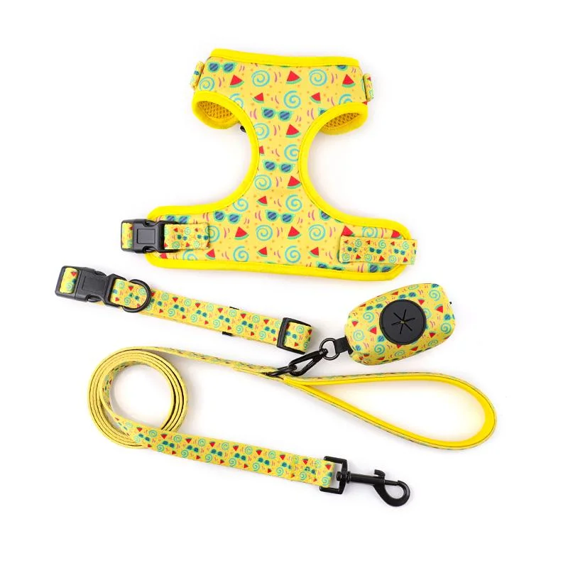 Hot Dog Collar and Leash Harness Set Sublimation Stylish Pet Harness