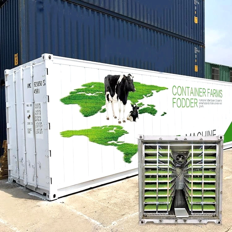 Vertical Hydroponic Shipping Container Greenhouse for Vegetables Hydroponic Fodder System/ Forage Grass