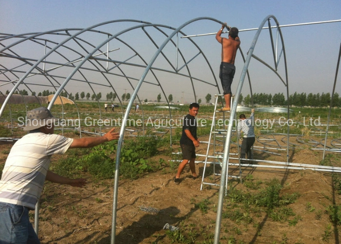 Agricultural/Commercial Single Span/Cheap Tunnel/Gothic Plastic Film Hydroponic Greenhouse for Tomatoes Lettuce Cucumber