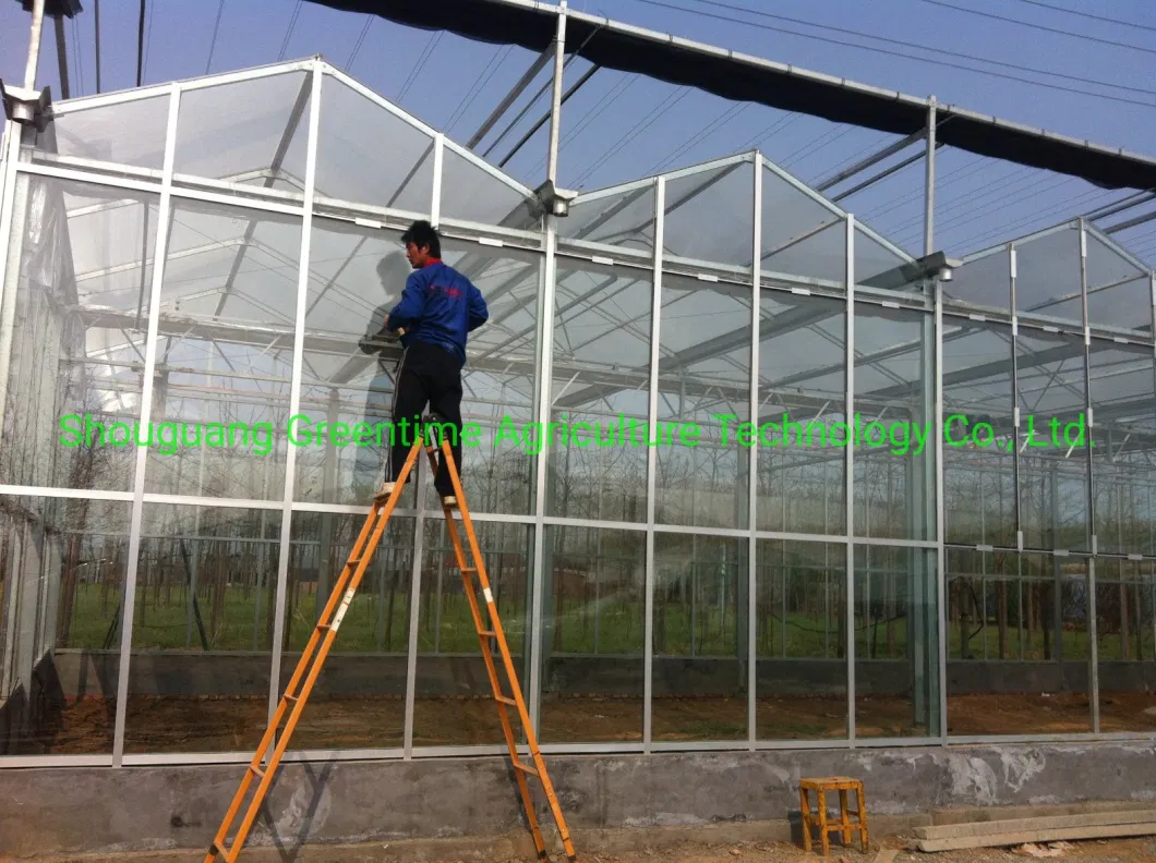 Cheap/Agriculture/Farm/Polycarbonate/Glass/Multi-Span Greenhouse with Irrigation Hydroponic System for Strawberry/Vegetables/Flowers/Tomato/Pepper