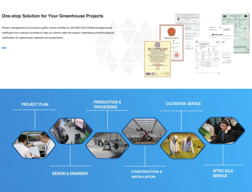 PVC/PE/Po Film Greenhouse for Hydroponics Tunnel