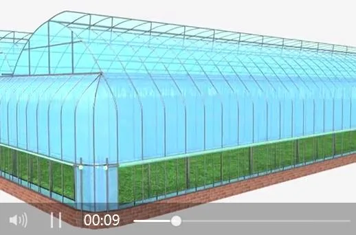 Commercial/Agriculture Polycarbonate Rain Gutter Steel Structure Greenhouse with Hydroponic System for Tomato/ Cucumber/ Lettuce/ Pepper Planting