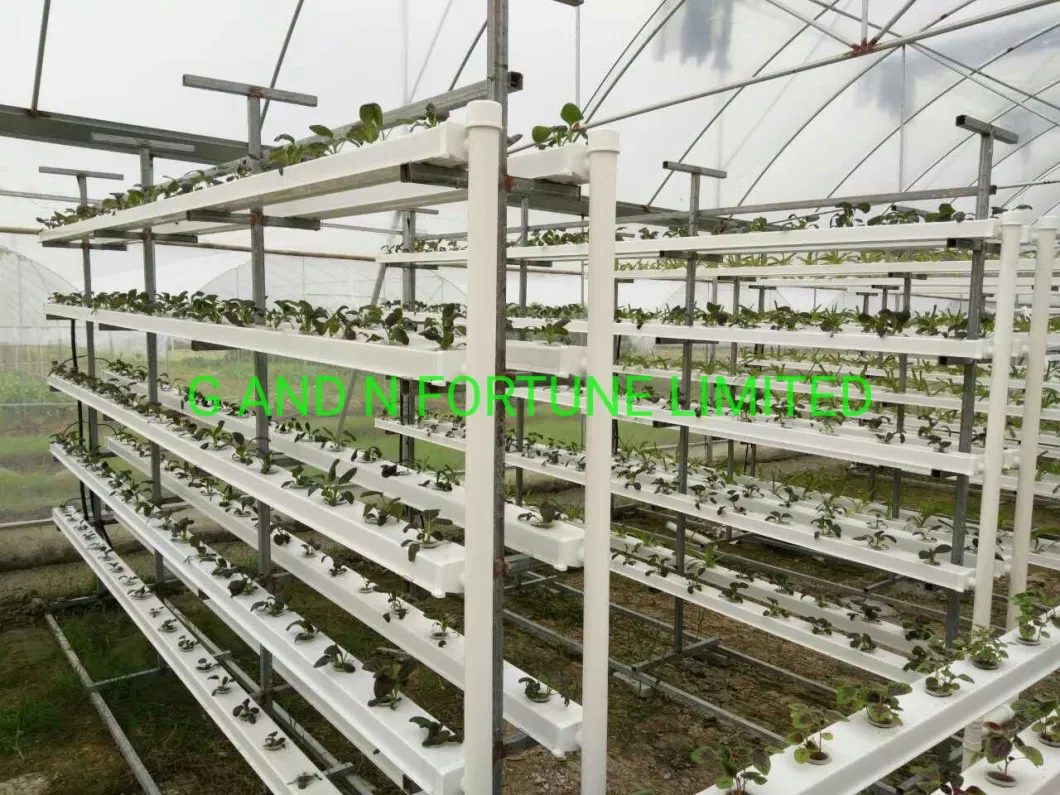 High Quality Vertical Farm Hidroponia PVC Aeroponic Nft Nft Hydroponic System