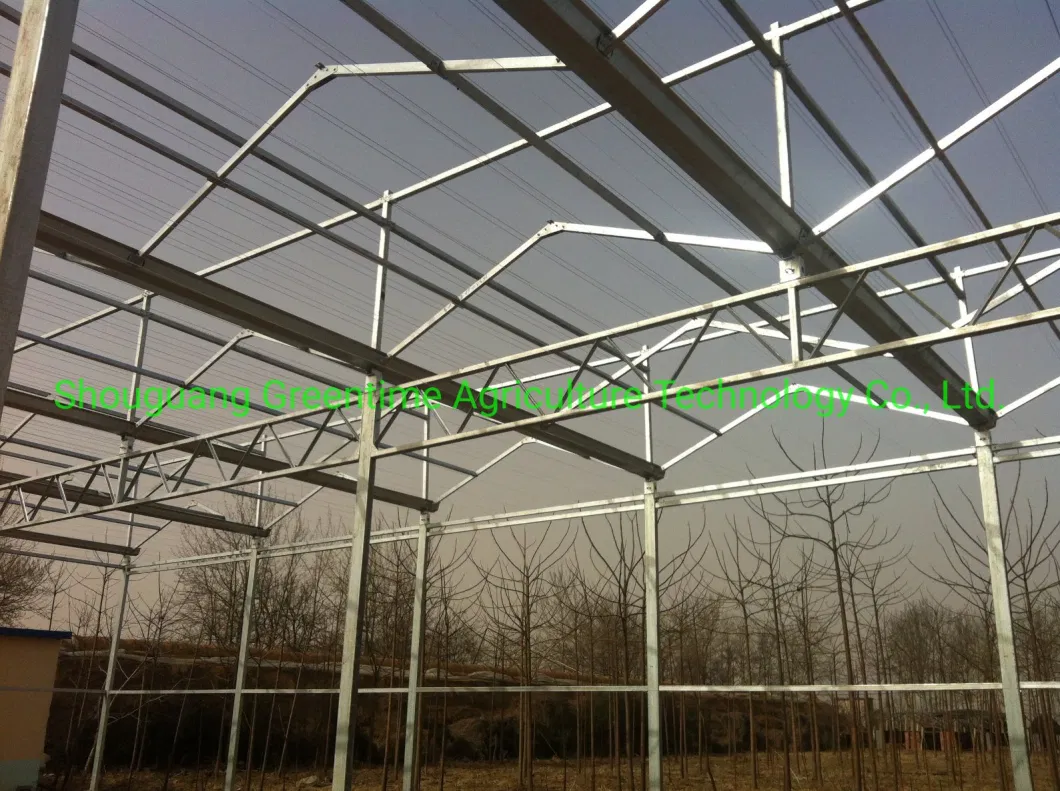 Cheap/Agriculture/Farm/Polycarbonate/Glass/Multi-Span Greenhouse with Irrigation Hydroponic System for Strawberry/Vegetables/Flowers/Tomato/Pepper