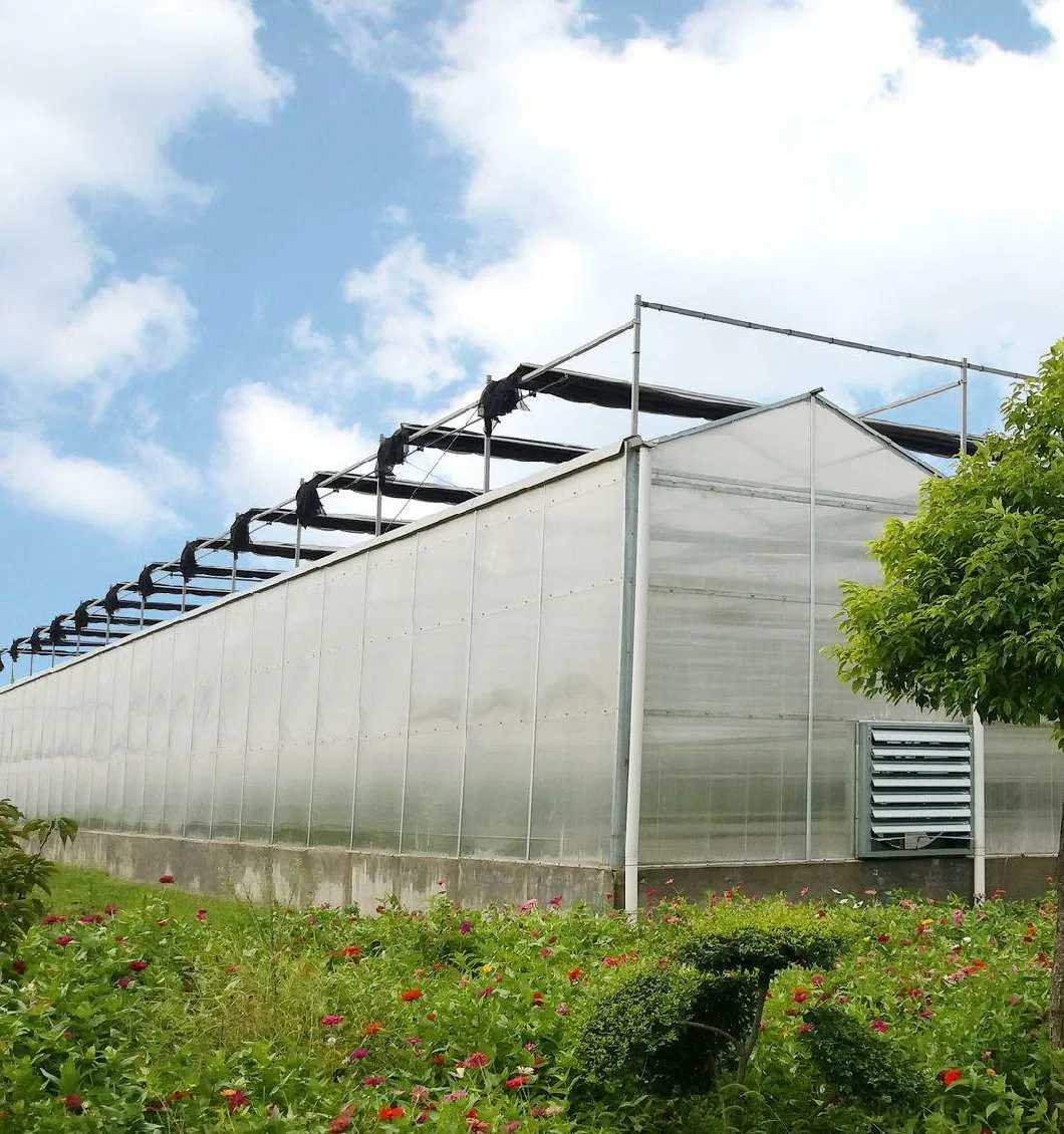 Venlo Type Single Layer Polycarbonate Greenhouse for Flower/Vegetable/Planting/Farm /Aquaculture/Livestock/Breeding/Ecological Restaurant with Hydroponic System