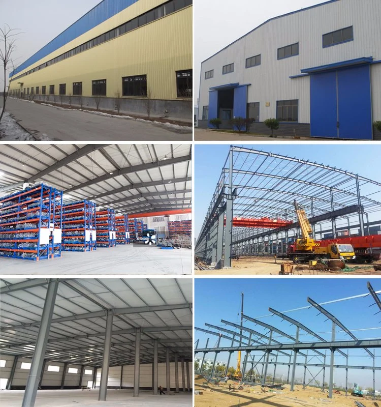 Good Quality China Antirust Proof Steel Structure Tools Storage Shed