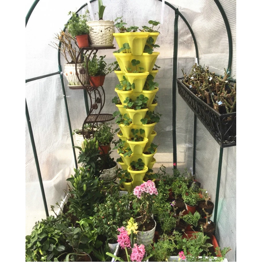 Factory Price Mini Greenhouse DIY Indoor Greenhouse Garden Greenhouse Good Quality Portable Greenhouse