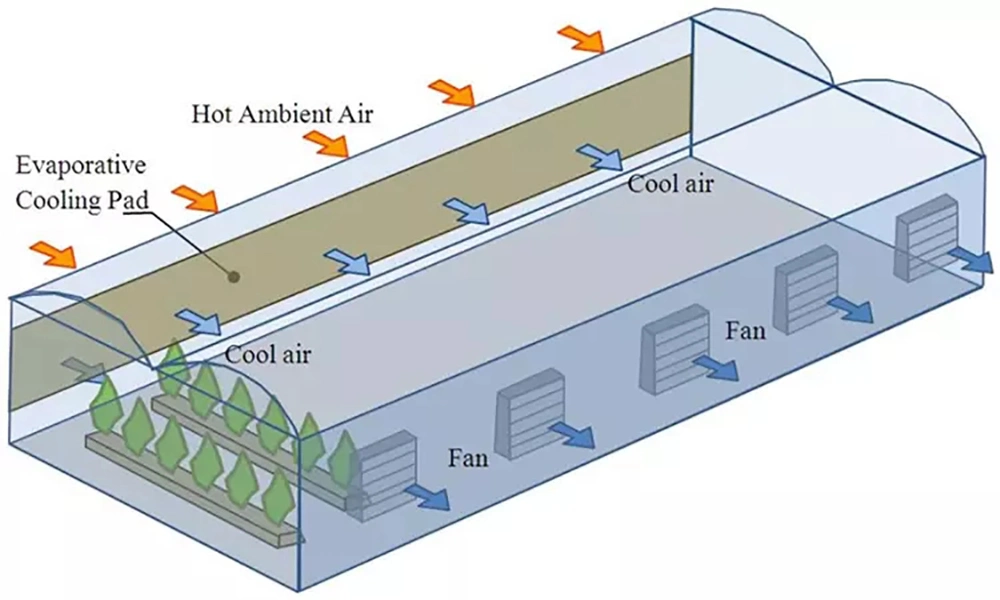 Exhaust Fan for Pig Farms in Industrial Greenhouses, Push-Pull Fans, Axial Fans Cooling Fan