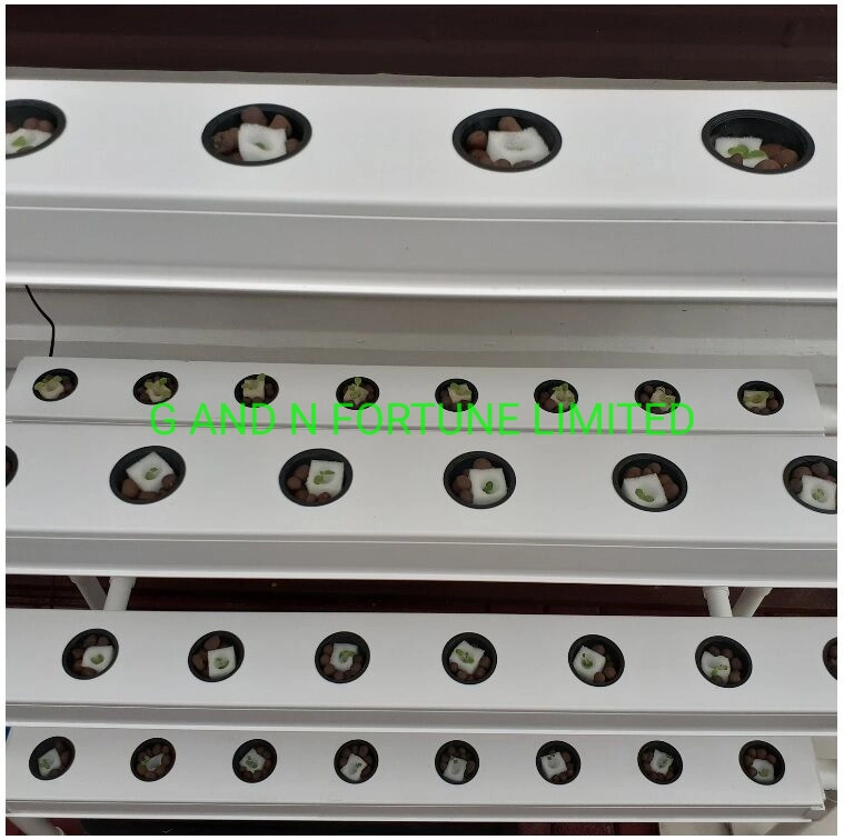 Indoor Vertical Hydroponic Nft Channel System for Leafy Vegetables