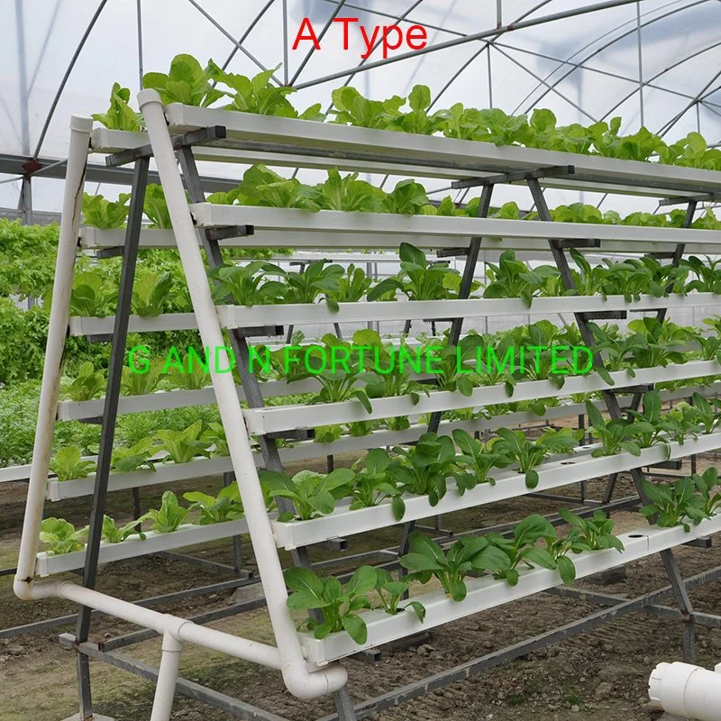 Hot Sale Hydroponic Channel System in Greenhouse and Farm Nft Channels for Hydroponic Growing