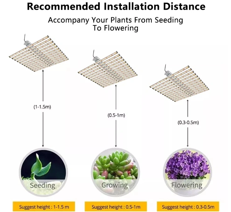 240W High Ppfd LED Grow Light for Indoor Plant
