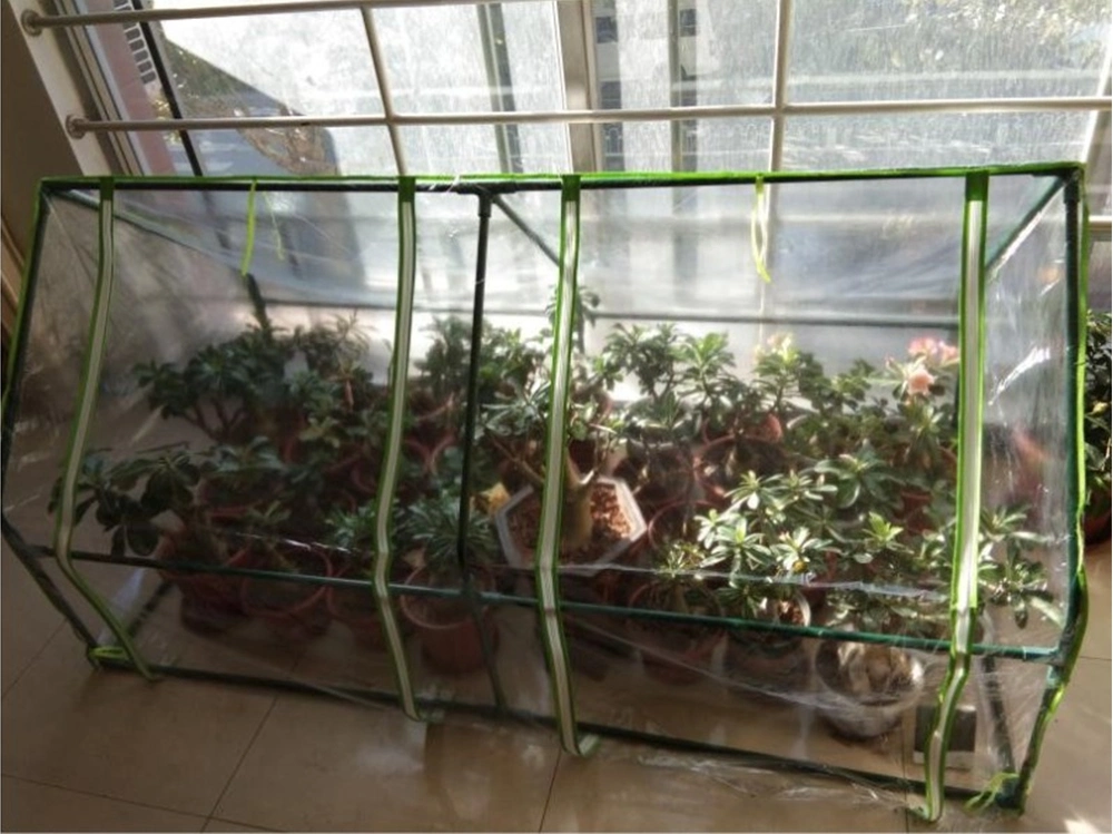 180X90X90cm Greenhouse with PVC Transparent Plant Cover and Frame for Indoor Outdoor Gardens Vegetable Plant Seeds Growing