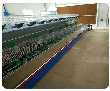 Commercial Outdoor Galvanized Wired Mesh Rabbit Breeding Cages For Philippine