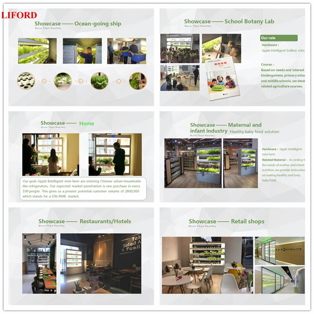 Indoor Smart Vertical Intelligent Mini Farming Hydroponics Soilless Growing System