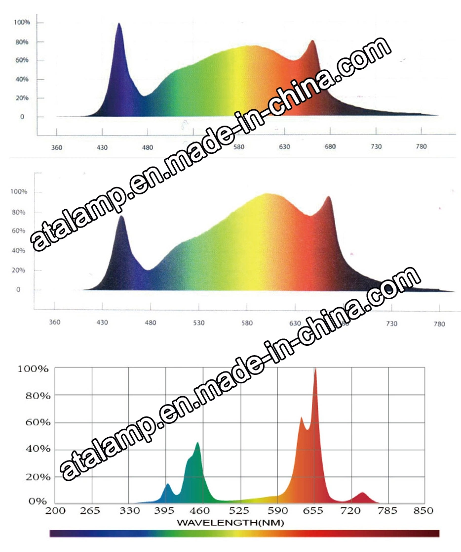 Full Spectrum 600W/700W/900W/1000W Indoor Tent Greenhouses Hydroponics Plants LED Grow Light