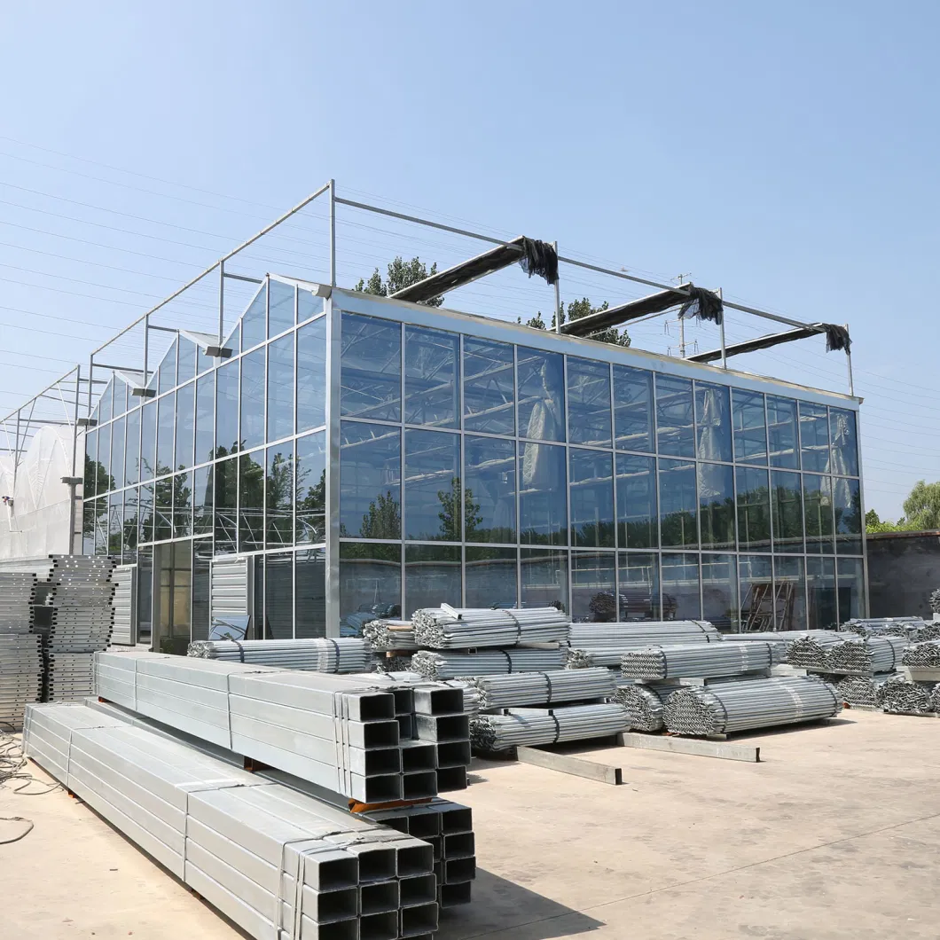 Agriculture/Commerce Multi Span Toughe Glass Green House for Vegetable/Flower/Fruits with Complete System/Hydroponic Systems/Automatic Irrigation System