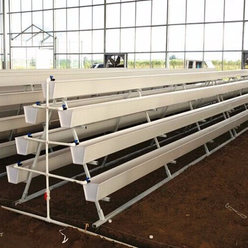 Factory Hydroponic Plant Whole System Supply for Hydroponics Strawberries