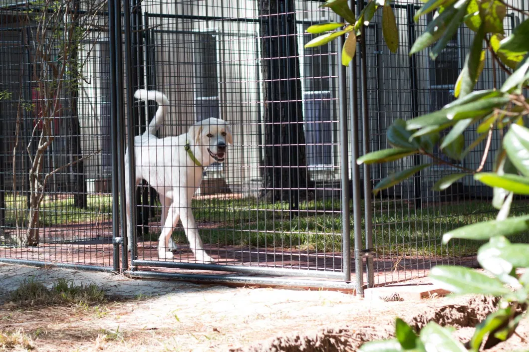 Good Design Heavy Duty Metal Crate/ Cage Portable Large Dog Backyard Kennels