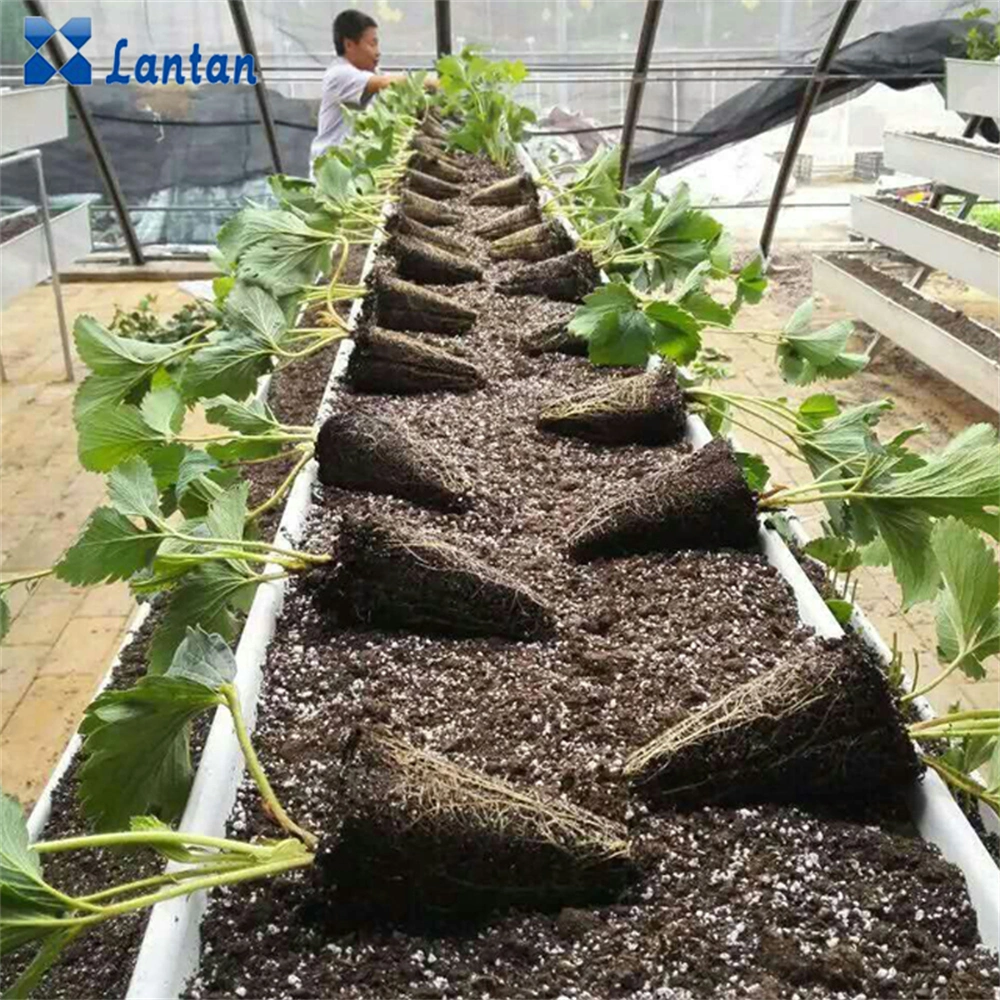 Greenhouse Garden Strawberry Potato PVC Plant Growing Gutter