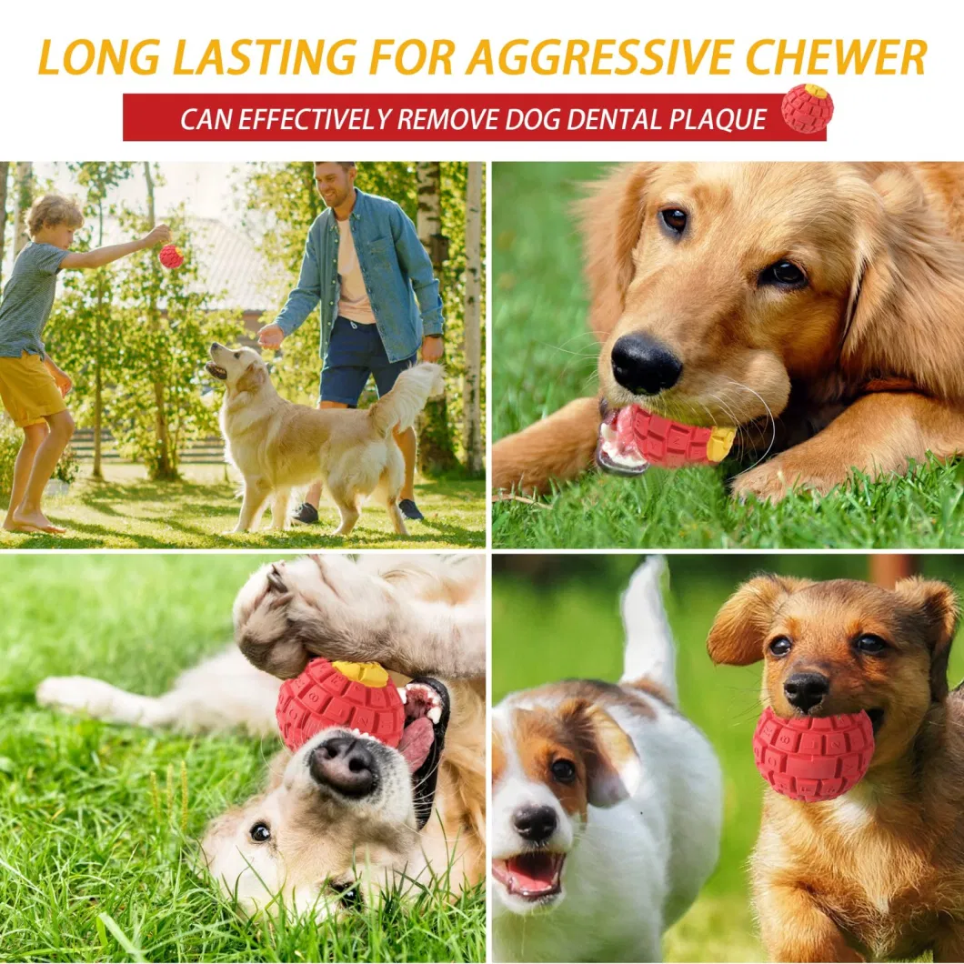 Rubber Squeaky Dog Chew Toy for Aggressive Chewers Dog Teeth Cleaning Toy