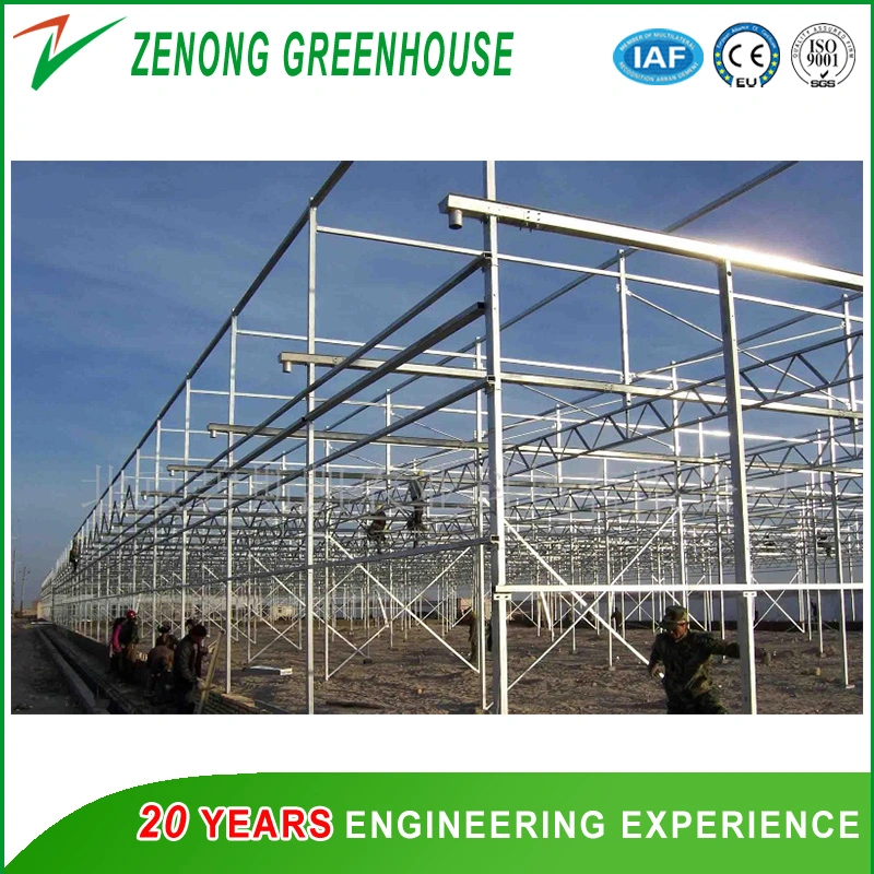 Venlo Tempered Glass Greenhouse with Hydroponics Growing System for Vegetables/ Flowers/ Tomato/