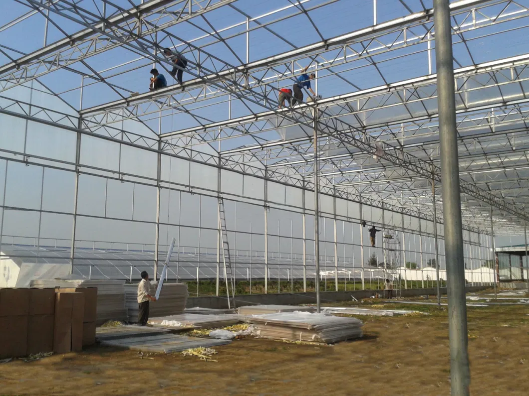 Venlo Type Single Layer Polycarbonate Greenhouse for Flower/Vegetable/Planting/Farm /Aquaculture/Livestock/Breeding/Ecological Restaurant with Hydroponic System