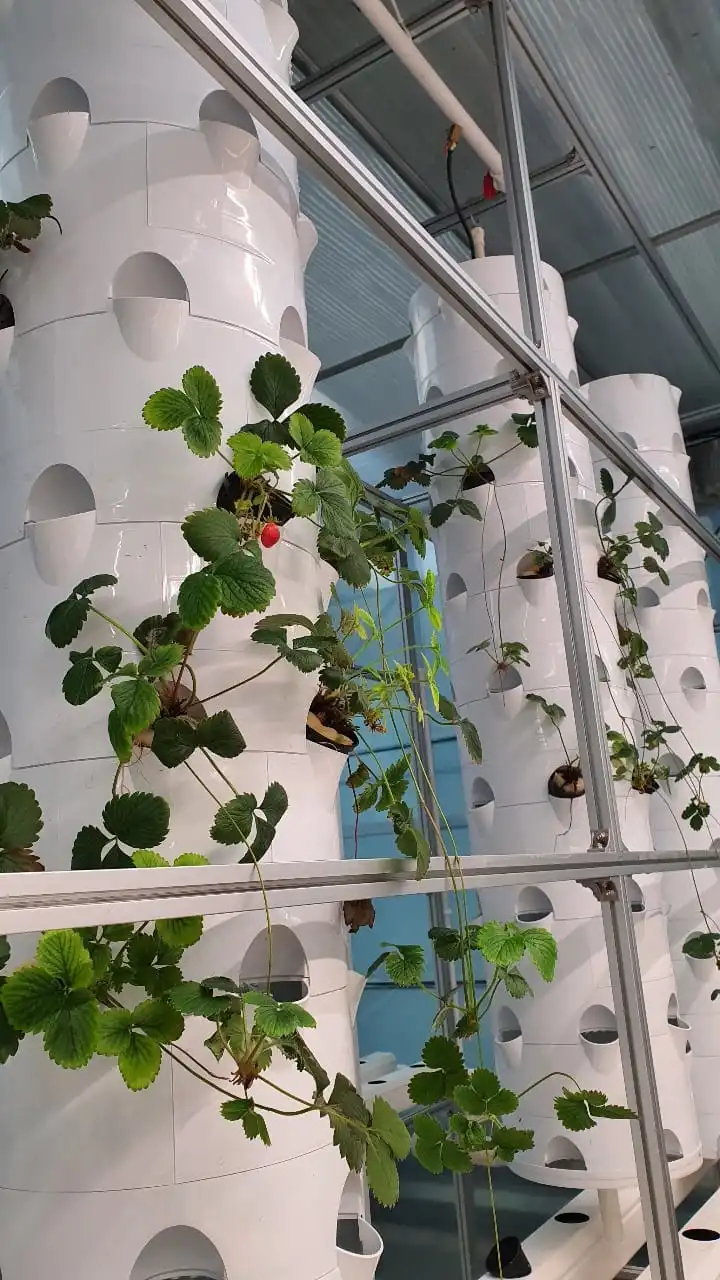Indoor Hydroponic Growing System Tower Hydroponic Growing Systems Garden Tower Aeroponic Hydroponic System