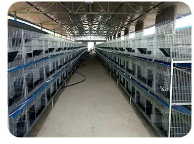Commercial Outdoor Galvanized Wired Mesh Rabbit Breeding Cages For Philippine