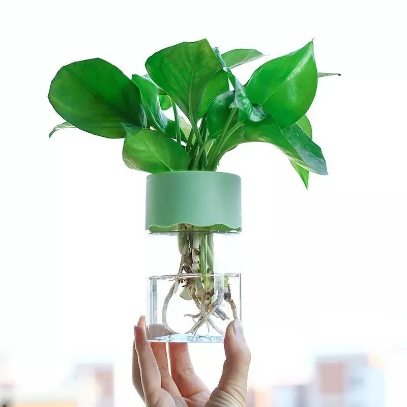 Transparent Hydroponic Pot Indoor and Outdoor Round Plastic Flower Pot Plant Pot