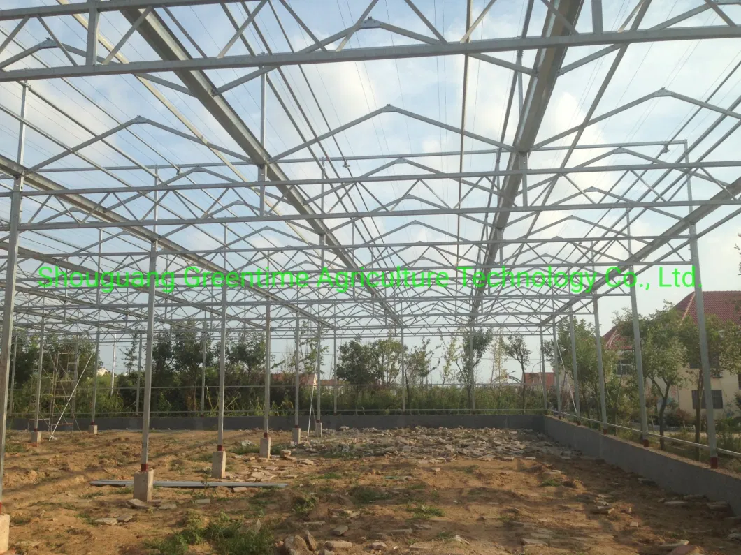 Cheap/Agriculture/Farm/Polycarbonate/Glass/Multi-Span Greenhouse with Irrigation Hydroponic System for Strawberry/Vegetables/Flowers/Tomato/Pepper