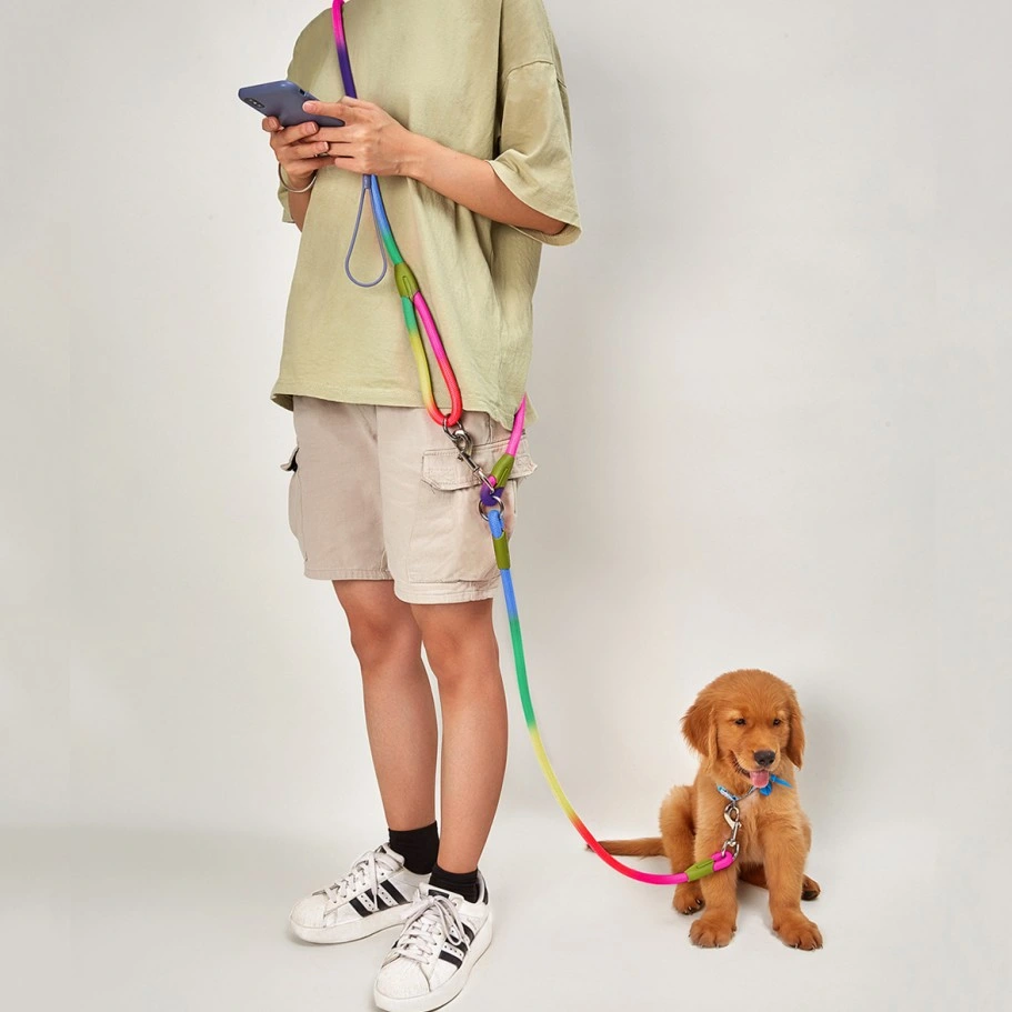 Colorful Rainbow Dog Harness, Ound Rope Pet Leash with Leash for Small Pets, Cats