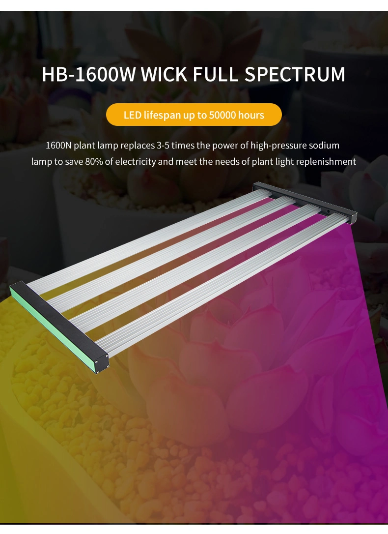 Waterproof UV 720W 1000W Full Spectrum LED Grow Lights for Indoor Plants
