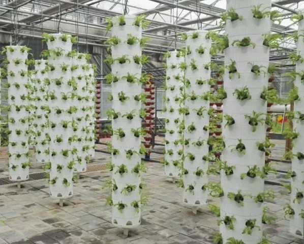 Greenhouse Indoor Hydroponic Seedling Planting Frame