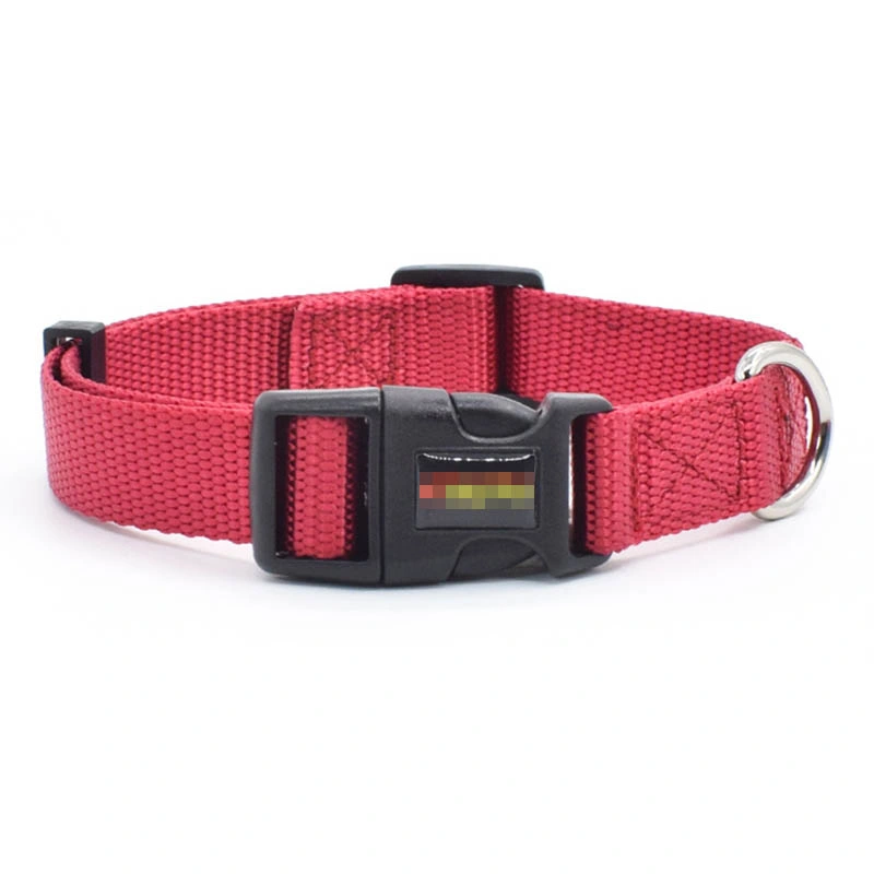 Black Color Dog Collar and Leash for Puppy
