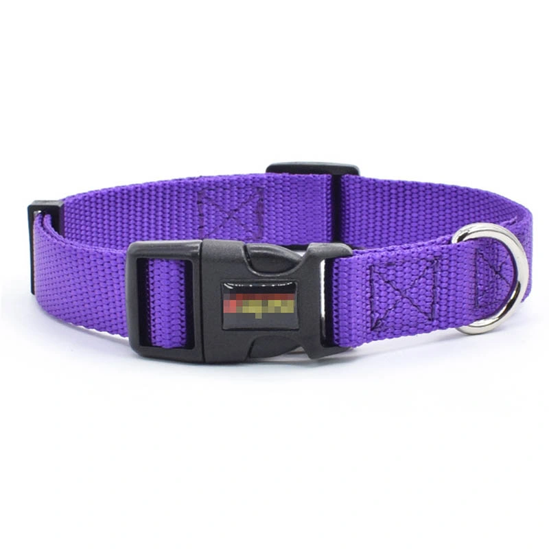 Black Color Dog Collar and Leash for Puppy