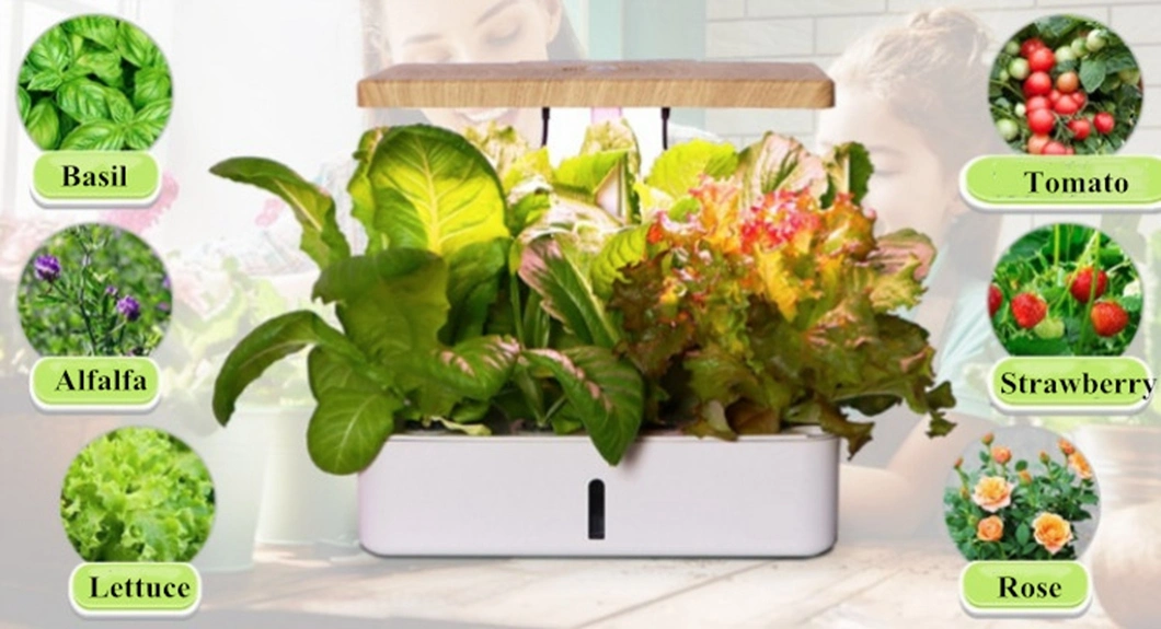 Indoor Garden Mini Hydroponic Growing System with LED Light