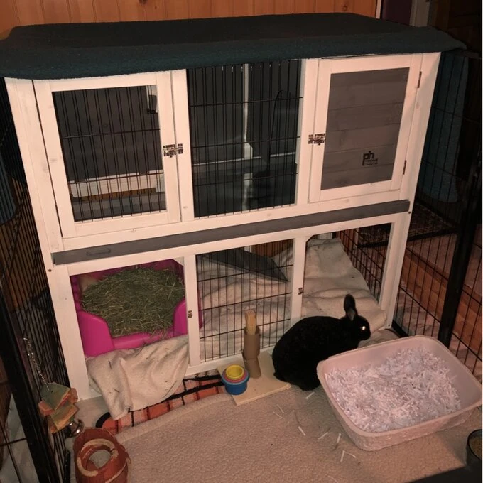 Outdoor Pet House and Rabbit Cage Pet Hutch with Reay to Assemble