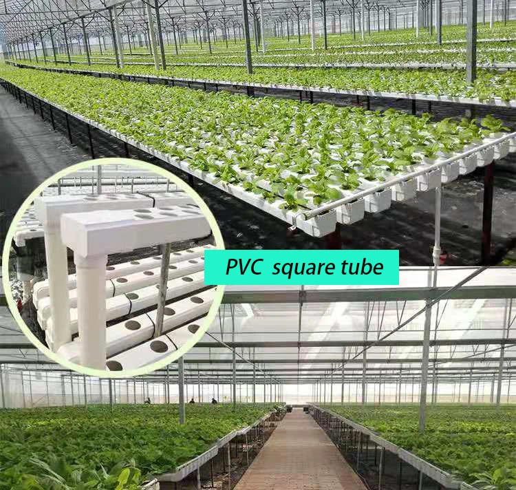 Greenhouse Equipped with Hydroponic Growing Systems Indoor