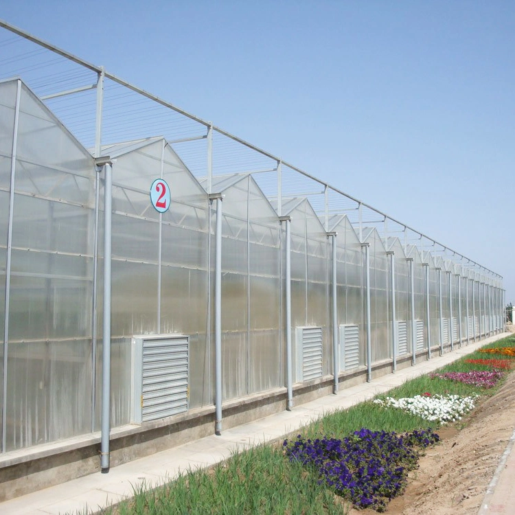 High Quality Venlo PC Greenhouse for Hydroponic Vegetables Planting