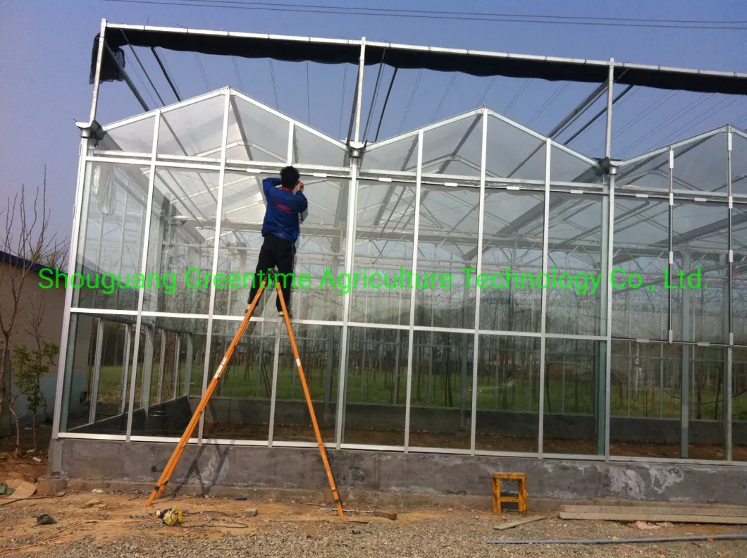 Cheap/Agriculture/Farm/Polycarbonate/Glass/Multi-Span Greenhouse with Irrigation Hydroponic System for Strawberry/Vegetables/Flowers/Tomato/Pepper