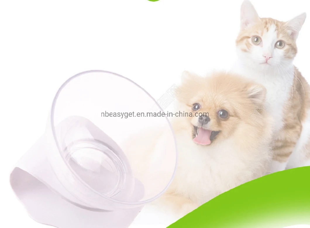 Pet Feeding Bowl Cat Food Bowl Elevated Feeder Bowl with Non-Slip Rubber Base Esg16332