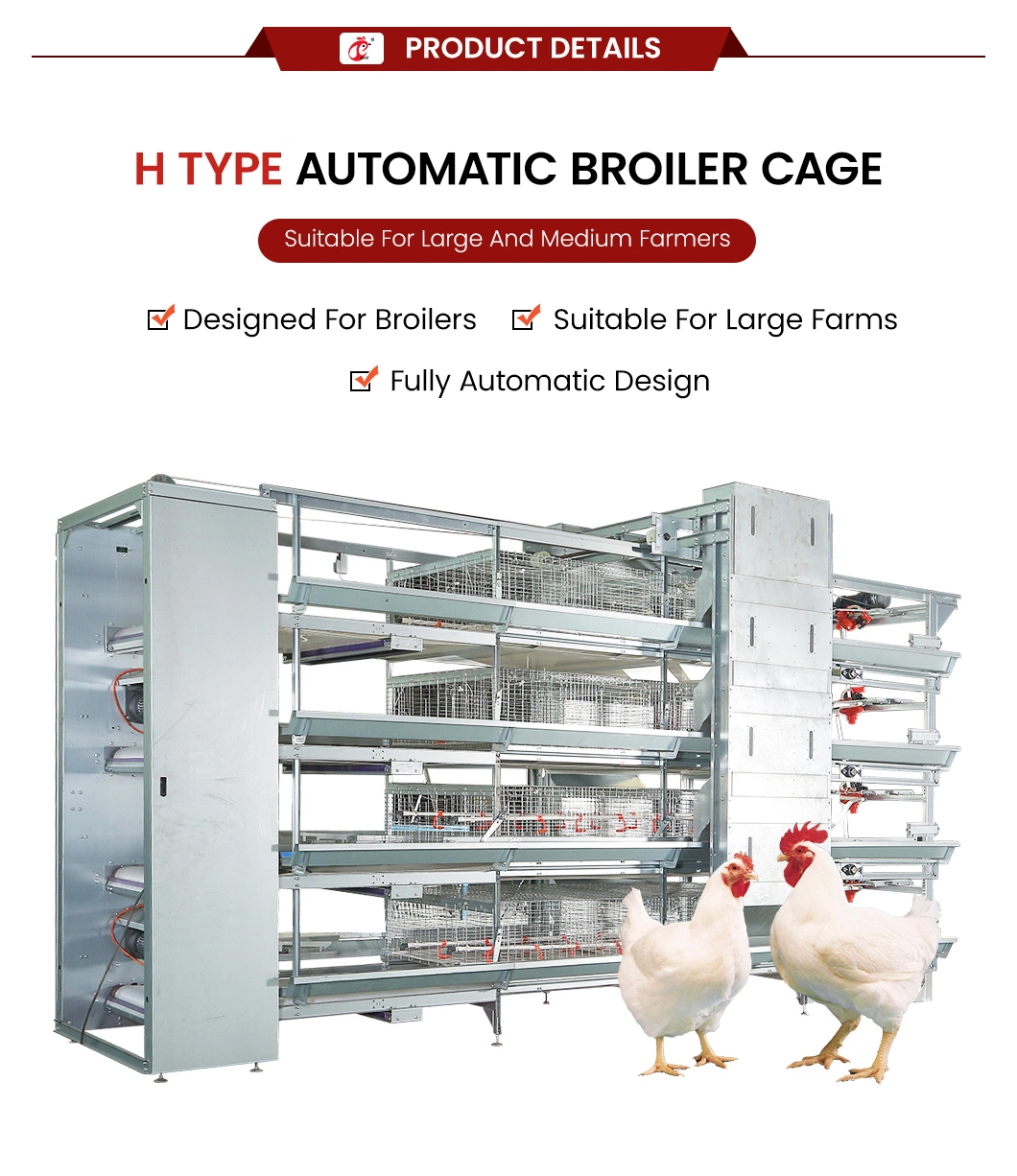 Bestchickencage China Outdoor Chicken Coops Suppliers H Frame Automatic Boriler Cages Free Sample Energy Save/Remote Control Chicken Coop Shed
