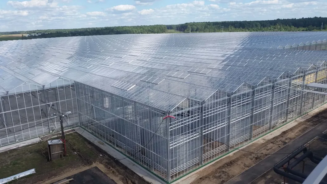 Hot DIP Galvanized Steel Multi Span Glass Greenhouse