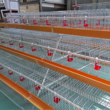 Best Quality Metal Modern Broiler Breeding Heavy Duty Poultry Cage Houses Chicken Coop for Dogs