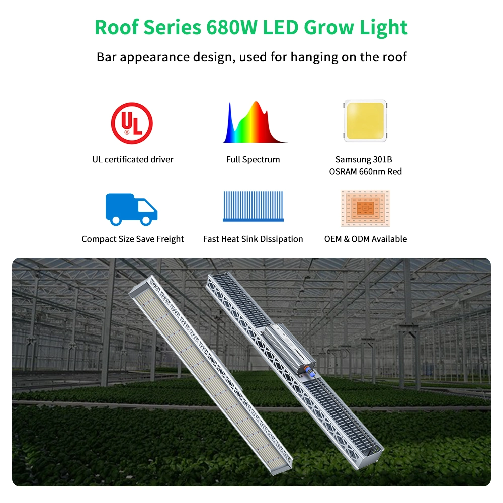 600W 680W 800W 1000W LED Grow Light for Greenhouse Indoor Plants