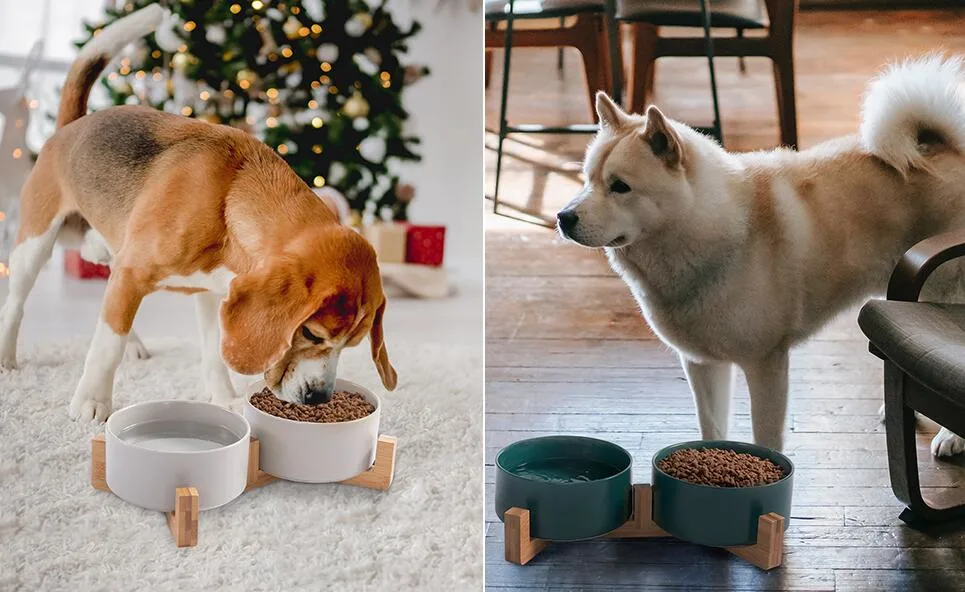 Cat Bowl Puppy Ceramic Food and Water Bowls with Wood Stand