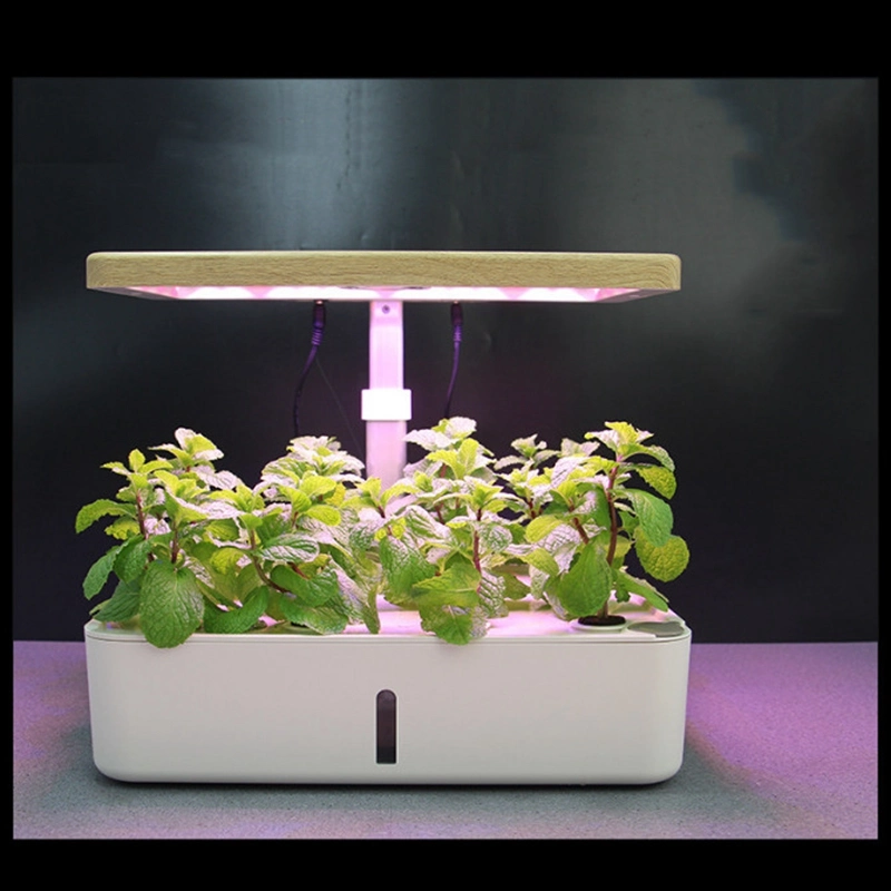 Indoor Garden Mini Hydroponic Growing System with LED Light